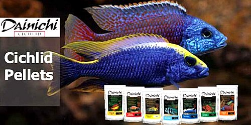 Dainichi Cichlid Pellets